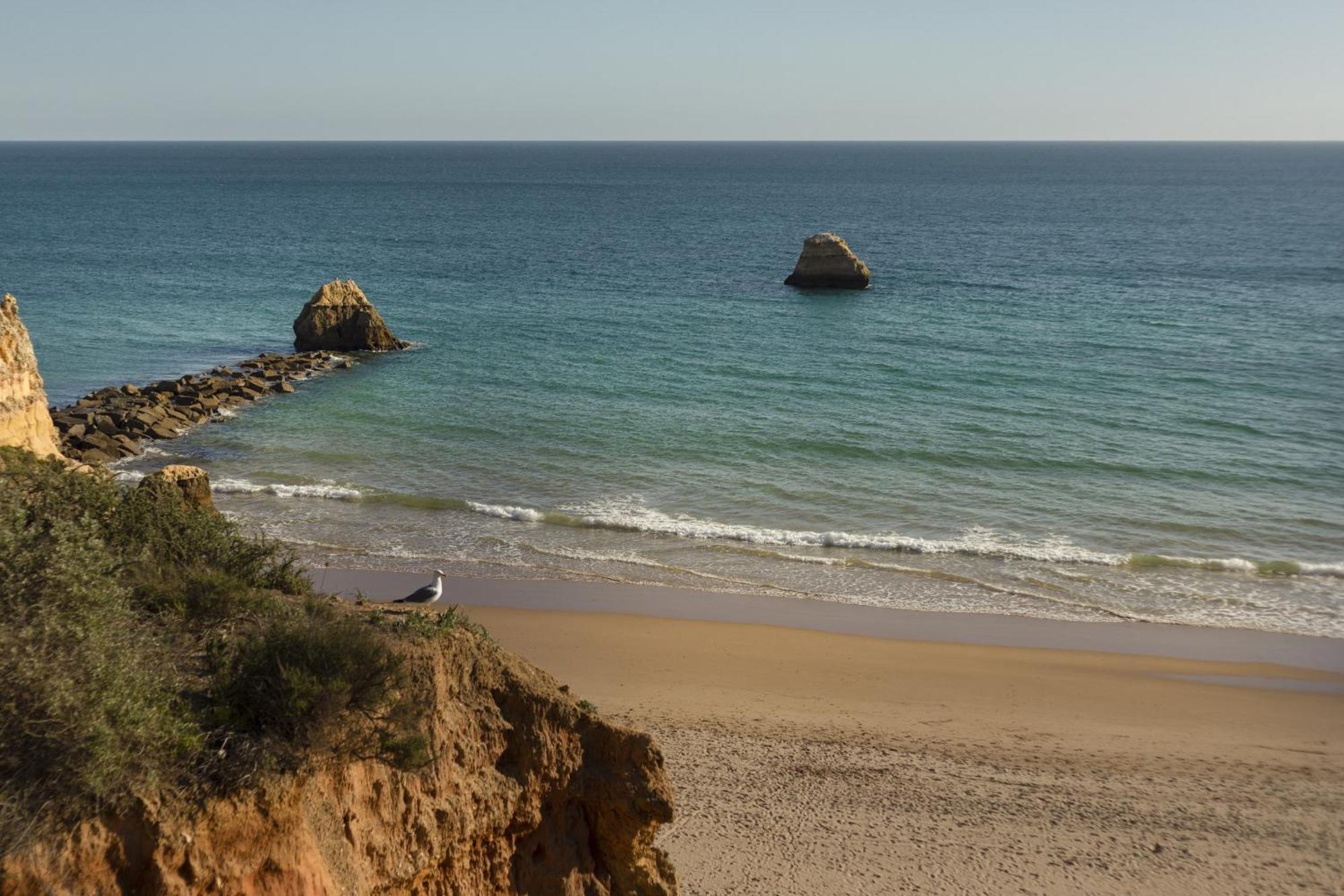 New - Portimao Casinha Daire Dış mekan fotoğraf
